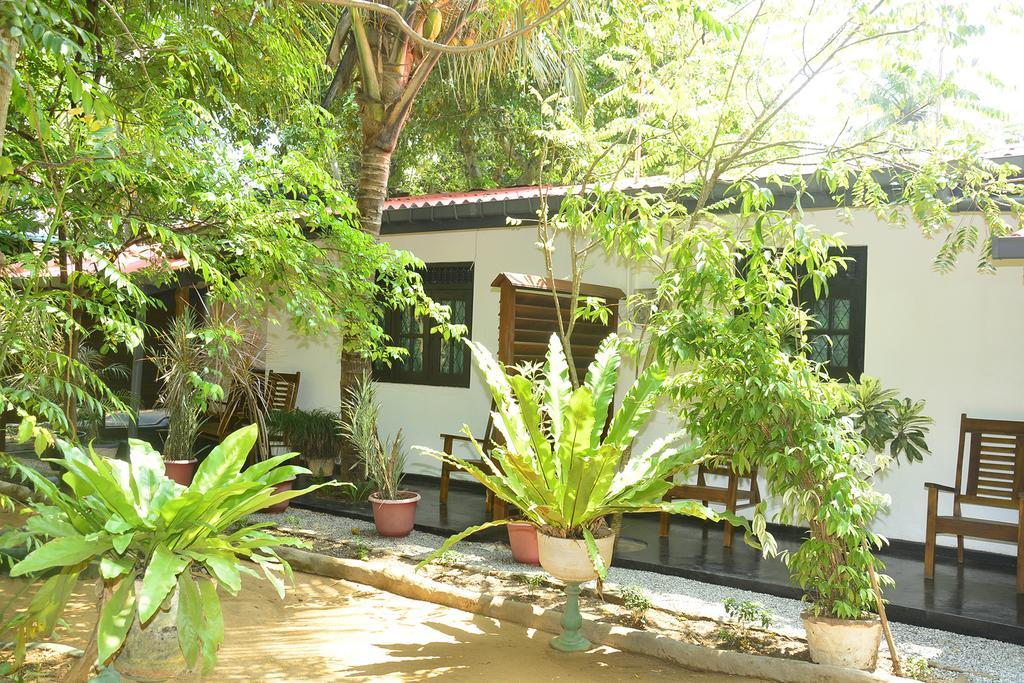 Livinginn Polonnaruwa Exteriör bild