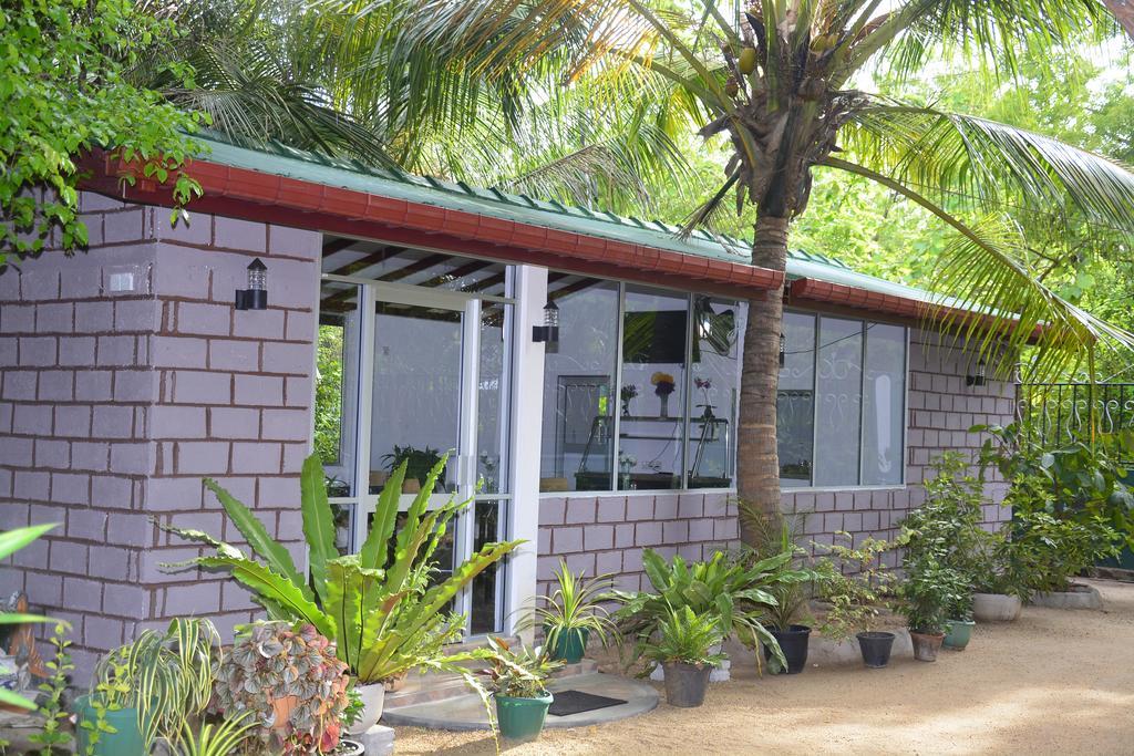 Livinginn Polonnaruwa Exteriör bild