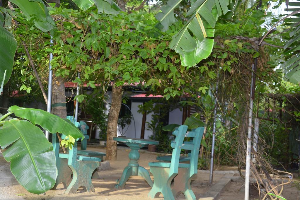 Livinginn Polonnaruwa Exteriör bild